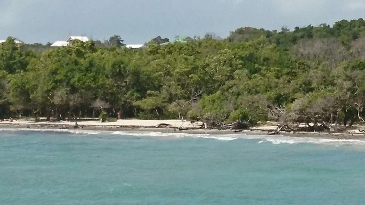Residence Oncle Sam Le Gosier  Guadeloupe